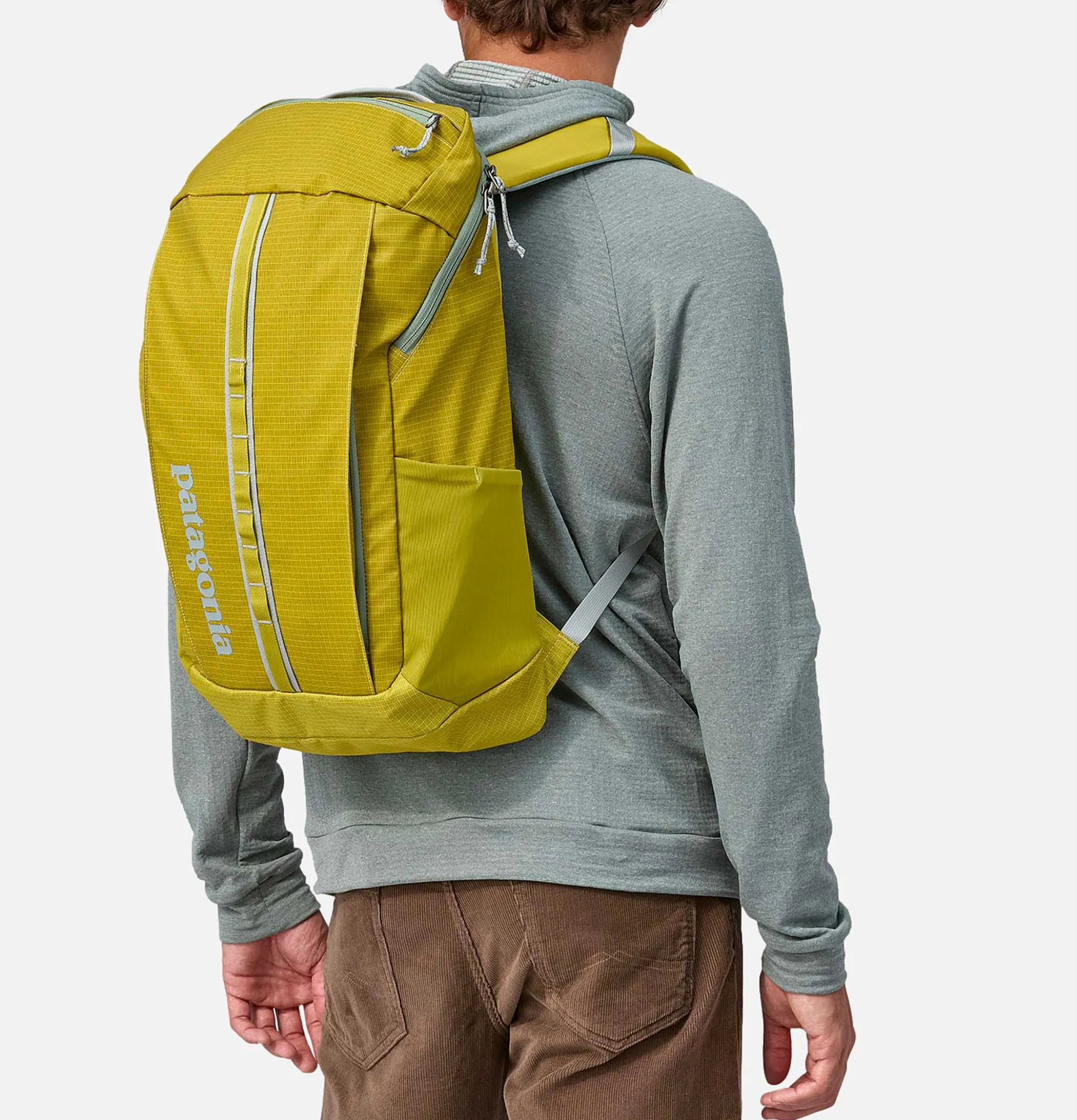 PATAGONIA ACCESSORIES Black Hole Pack 25L Shrg