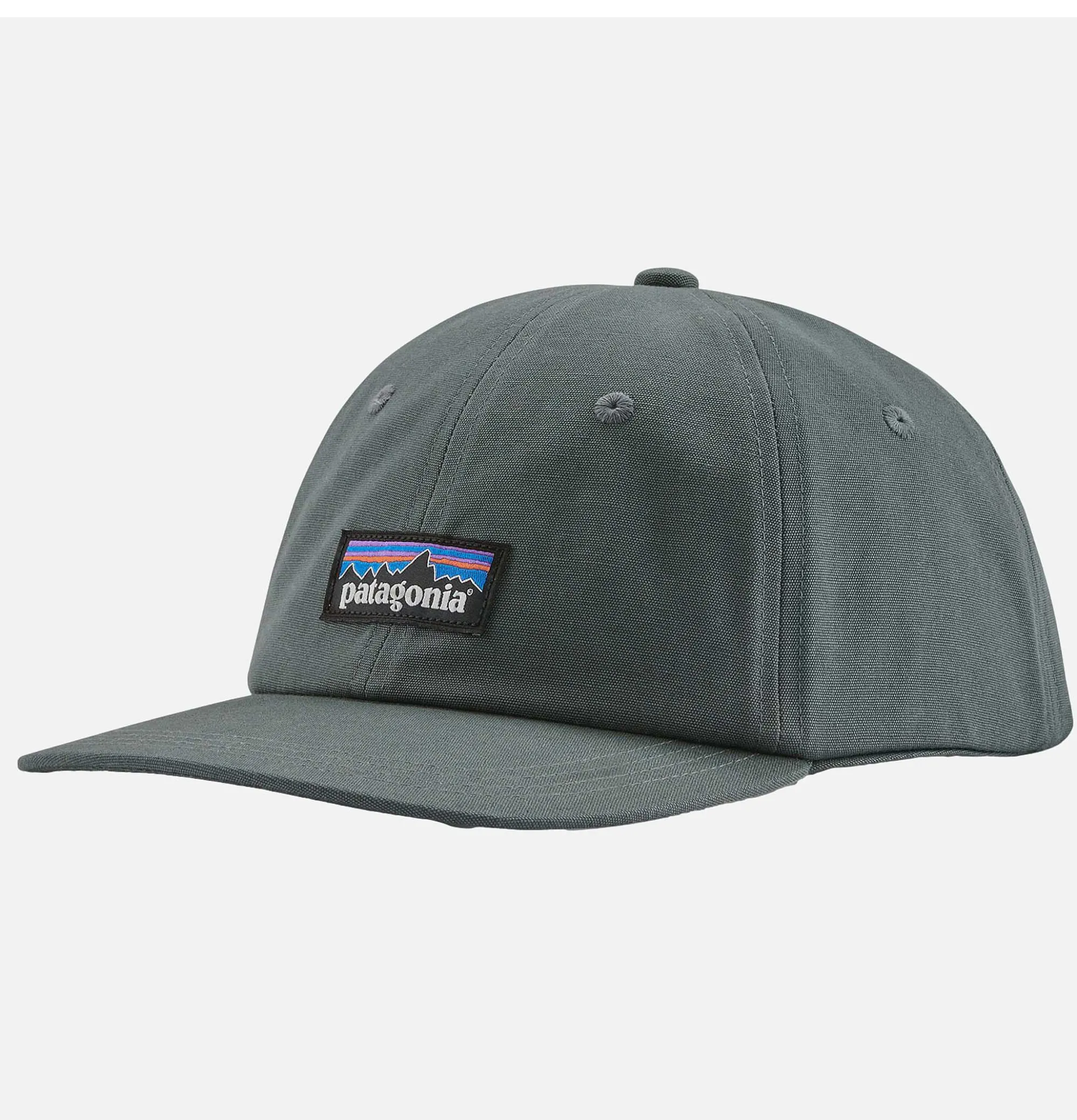 PATAGONIA ACCESSORIES P6 Label Trad Cap Nouveau Green